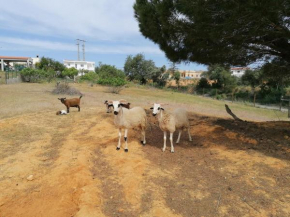 Monte da Churra